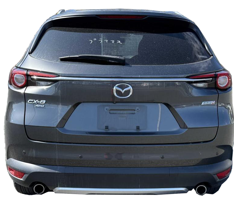 Cx 8 back 2