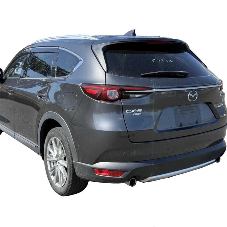 cx 8 back